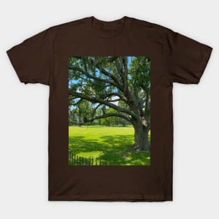 Stately Trees at Jean Lafitte National Historical Park  Louisiana T-Shirt